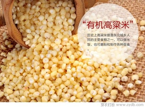 新年见公婆攻略